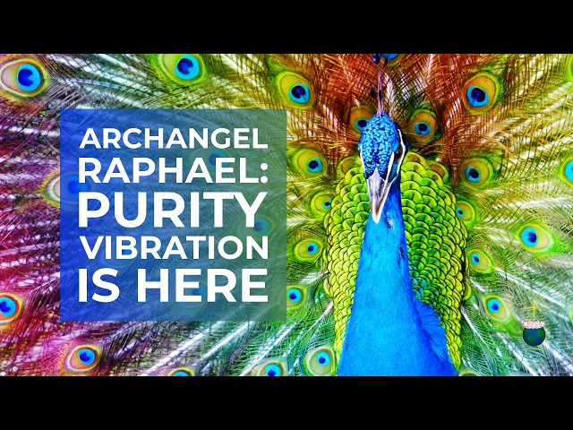 Pure light energy, creating New Earth, catastrophes, root of conflict