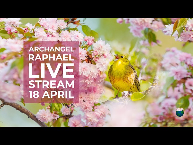 Interfering energies, attraction, purpose, total self-expression