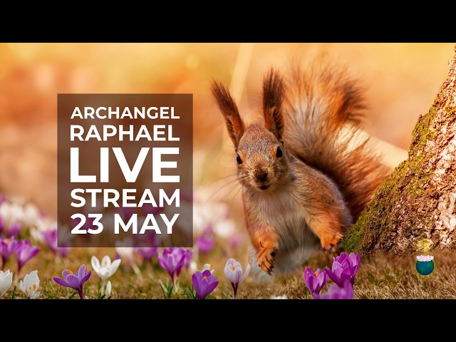 Alignment, karmic cycles, change, internal sabotage, protection