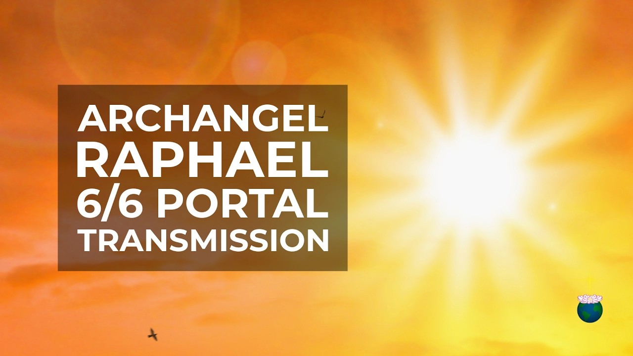6/6 Portal Transmission